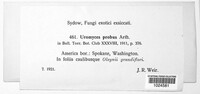 Image Associated With the Occurence